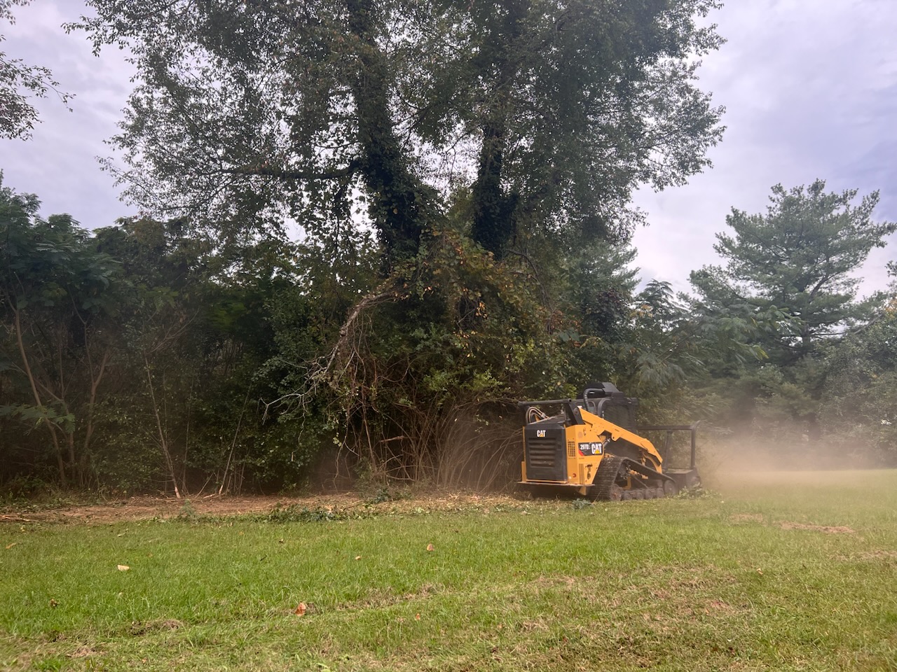 Land Clearing in Jonesborough TN